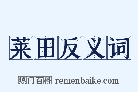 莱田反义词是什么意思的图片